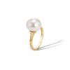 bicego-africa-ring-AB614 PL Y -patseas
